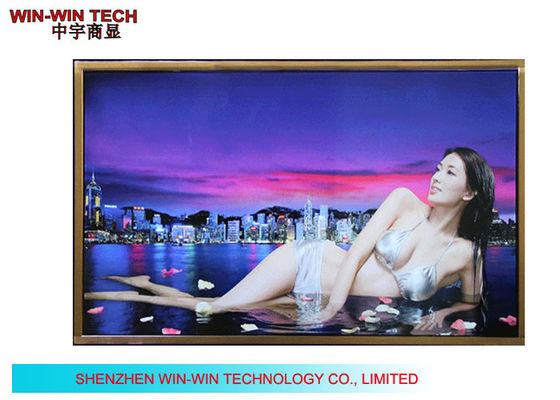 Thu hẹp Side Đứng trong nhà một mình Digital Signage Đối với Trung tâm mua sắm