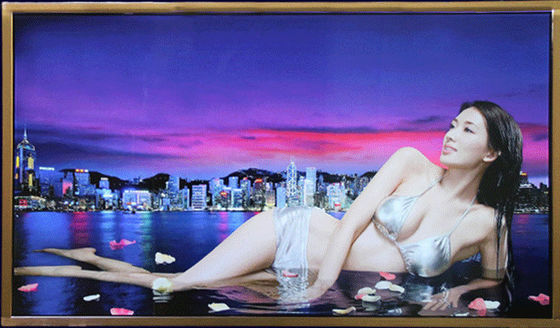 Thu hẹp Side Đứng trong nhà một mình Digital Signage Đối với Trung tâm mua sắm